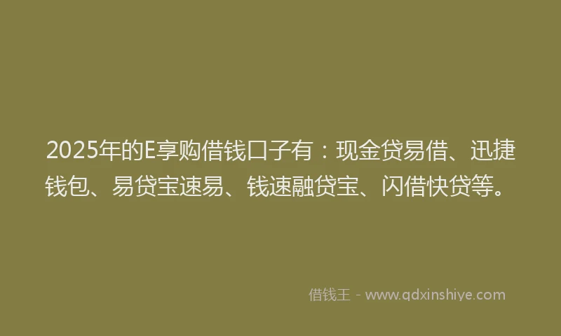 2025年的E享购借钱口子有：现金贷易借、迅捷钱包、易贷宝速易、钱速融贷宝、闪借快贷等。