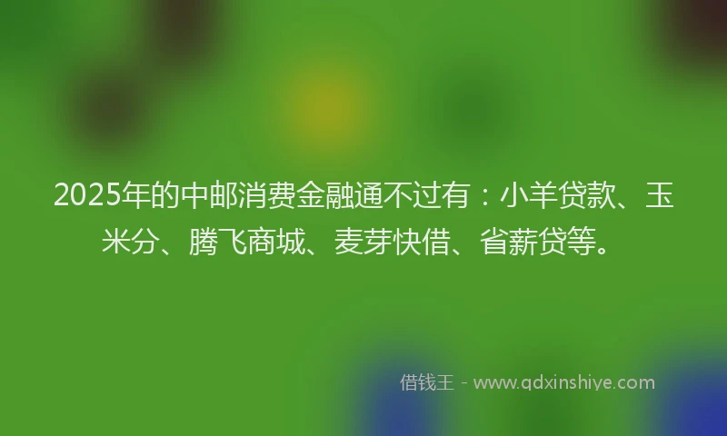 2025年的中邮消费金融通不过有：小羊贷款、玉米分、腾飞商城、麦芽快借、省薪贷等。