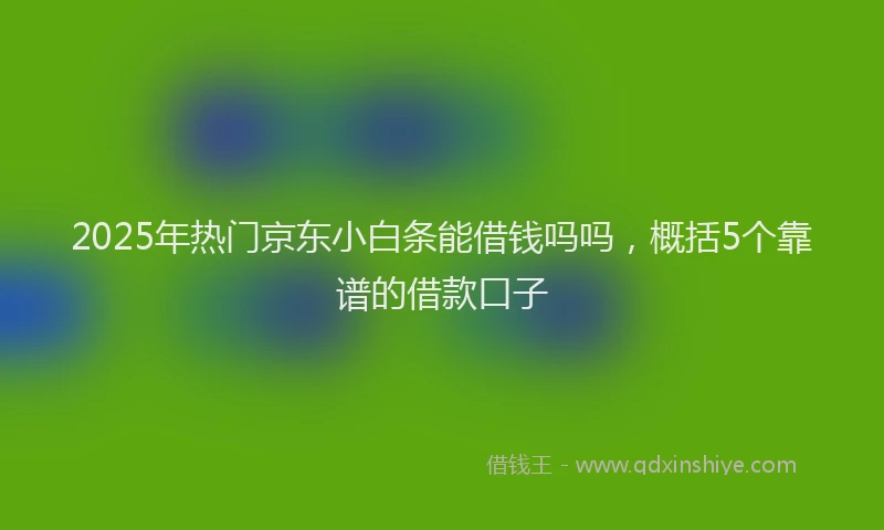 2025年热门京东小白条能借钱吗吗，概括5个靠谱的借款口子