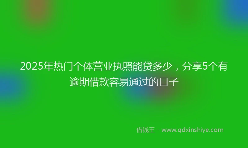 2025年热门个体营业执照能贷多少，分享5个有逾期借款容易通过的口子