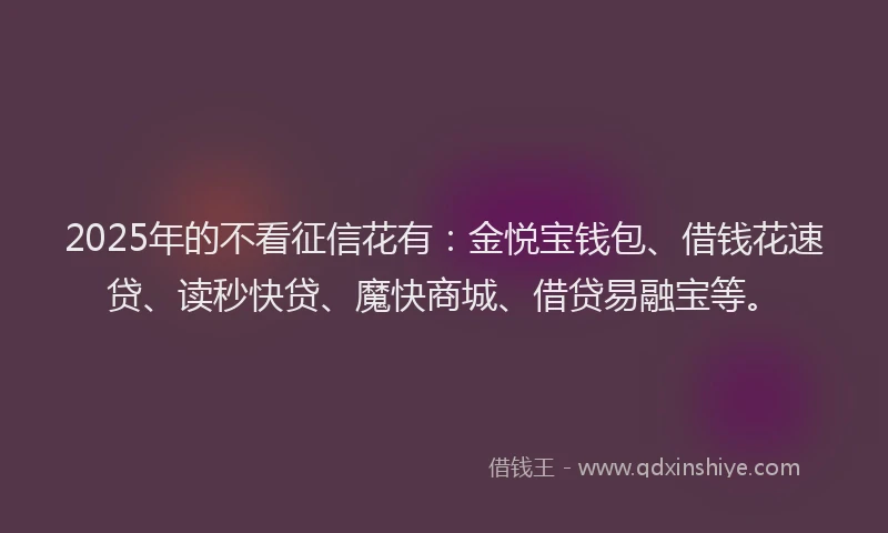 2025年的不看征信花有：金悦宝钱包、借钱花速贷、读秒快贷、魔快商城、借贷易融宝等。