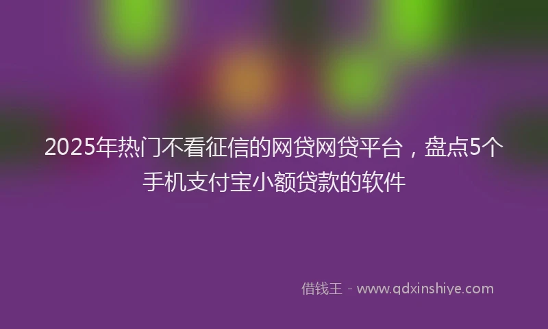 2025年热门不看征信的网贷网贷平台，盘点5个手机支付宝小额贷款的软件