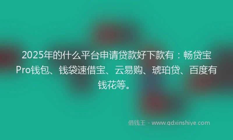 2025年的什么平台申请贷款好下款有：畅贷宝Pro钱包、钱袋速借宝、云易购、琥珀贷、百度有钱花等。