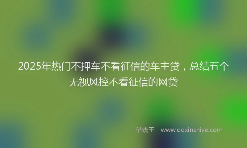 2025年热门不押车不看征信的车主贷，总结五个无视风控不看征信的网贷