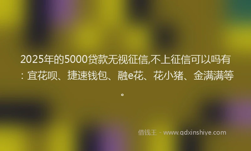 2025年的5000贷款无视征信,不上征信可以吗有：宜花呗、捷速钱包、融e花、花小猪、金满满等。