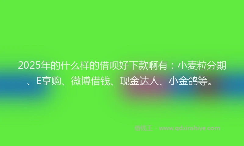 2025年的什么样的借呗好下款啊有：小麦粒分期、E享购、微博借钱、现金达人、小金鸽等。