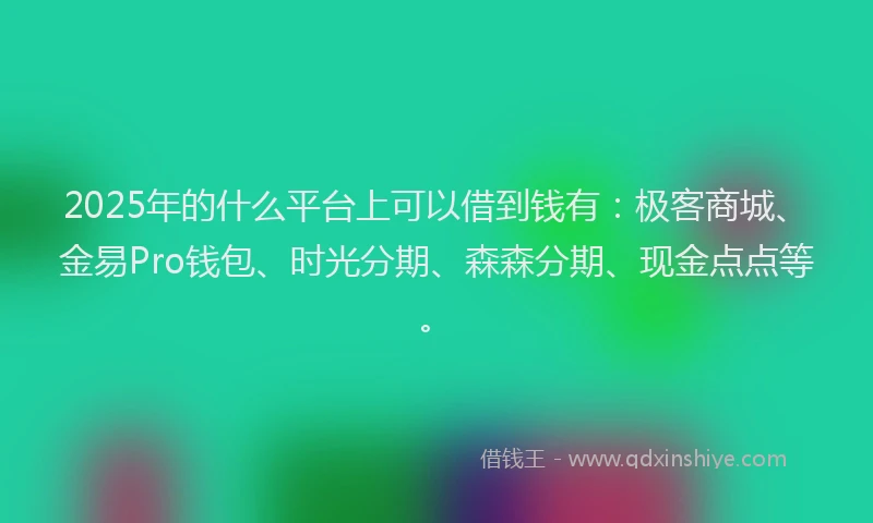 2025年的什么平台上可以借到钱有：极客商城、金易Pro钱包、时光分期、森森分期、现金点点等。