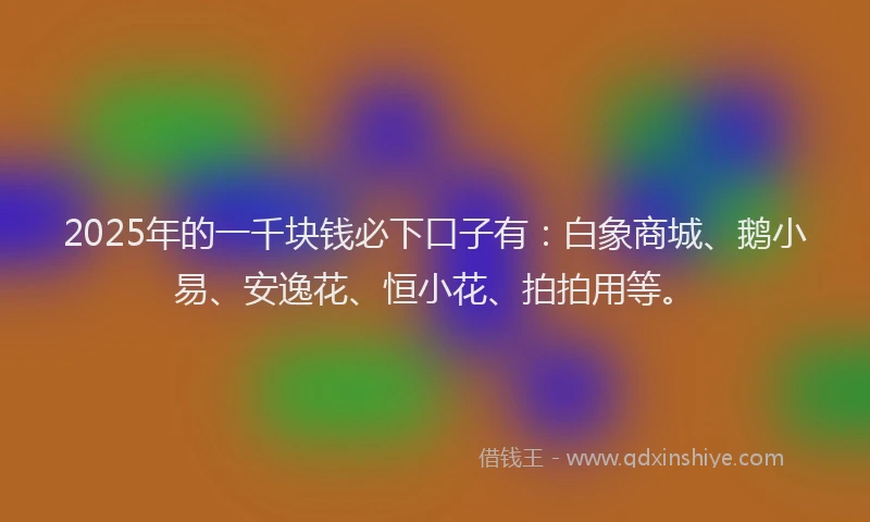 2025年的一千块钱必下口子有：白象商城、鹅小易、安逸花、恒小花、拍拍用等。