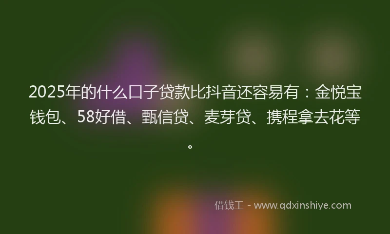 2025年的什么口子贷款比抖音还容易有：金悦宝钱包、58好借、甄信贷、麦芽贷、携程拿去花等。