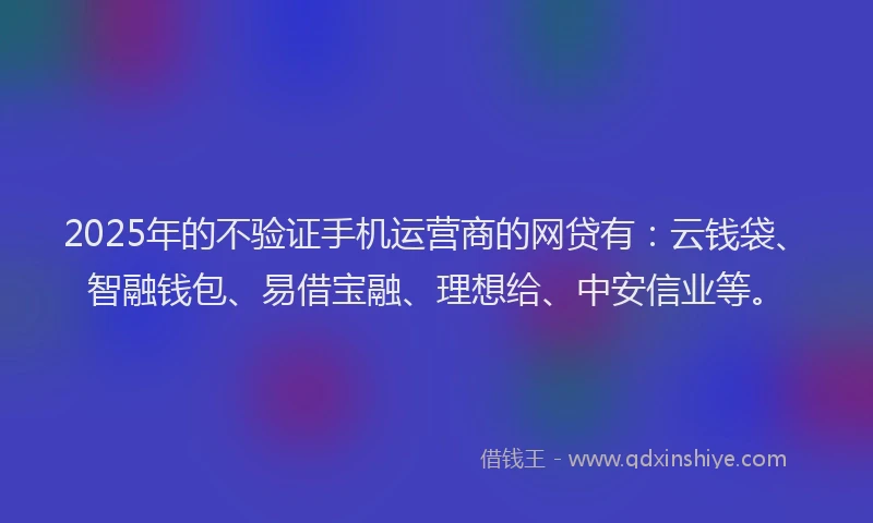 2025年的不验证手机运营商的网贷有：云钱袋、智融钱包、易借宝融、理想给、中安信业等。