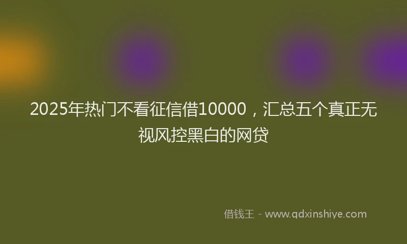 2025年热门不看征信借10000，汇总五个真正无视风控黑白的网贷