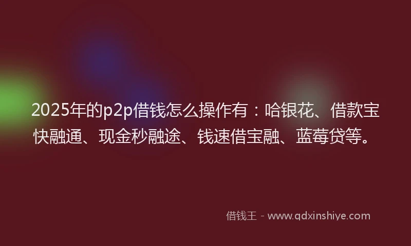 2025年的p2p借钱怎么操作有：哈银花、借款宝快融通、现金秒融途、钱速借宝融、蓝莓贷等。