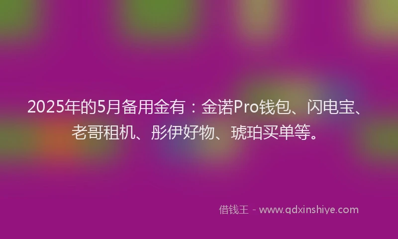 2025年的5月备用金有：金诺Pro钱包、闪电宝、老哥租机、彤伊好物、琥珀买单等。