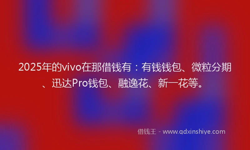 2025年的vivo在那借钱有：有钱钱包、微粒分期、迅达Pro钱包、融逸花、新一花等。