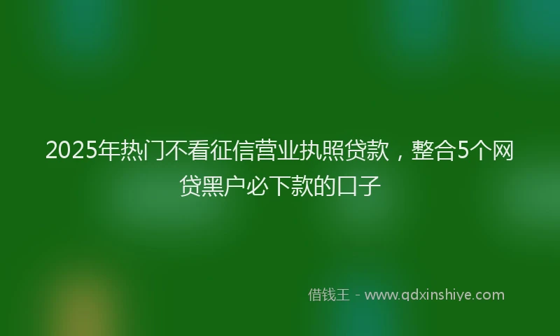 2025年热门不看征信营业执照贷款，整合5个网贷黑户必下款的口子
