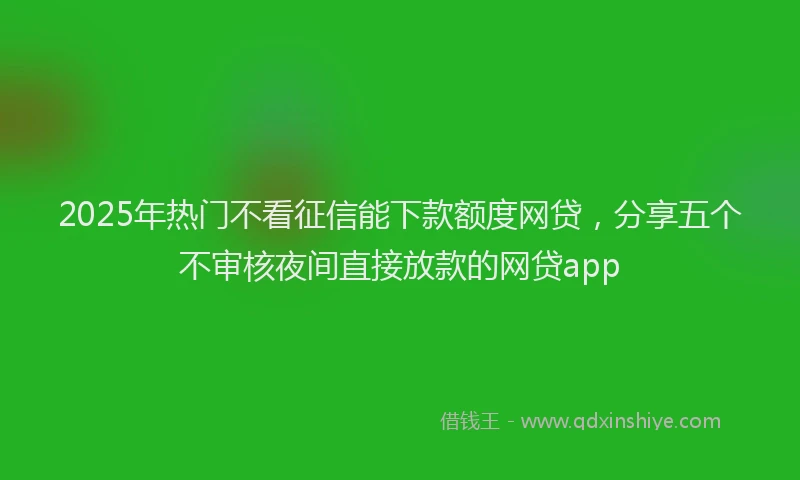 2025年热门不看征信能下款额度网贷，分享五个不审核夜间直接放款的网贷app