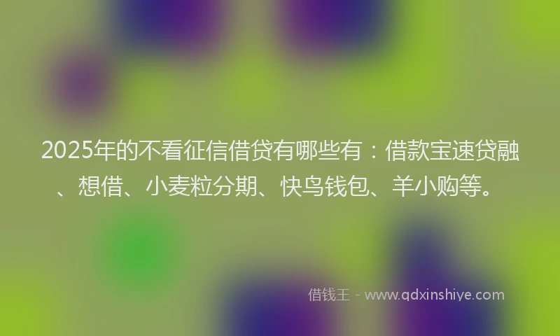 2025年的不看征信借贷有哪些有：借款宝速贷融、想借、小麦粒分期、快鸟钱包、羊小购等。