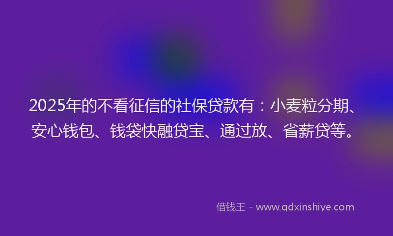 2025年的不看征信的社保贷款有：小麦粒分期、安心钱包、钱袋快融贷宝、通过放、省薪贷等。