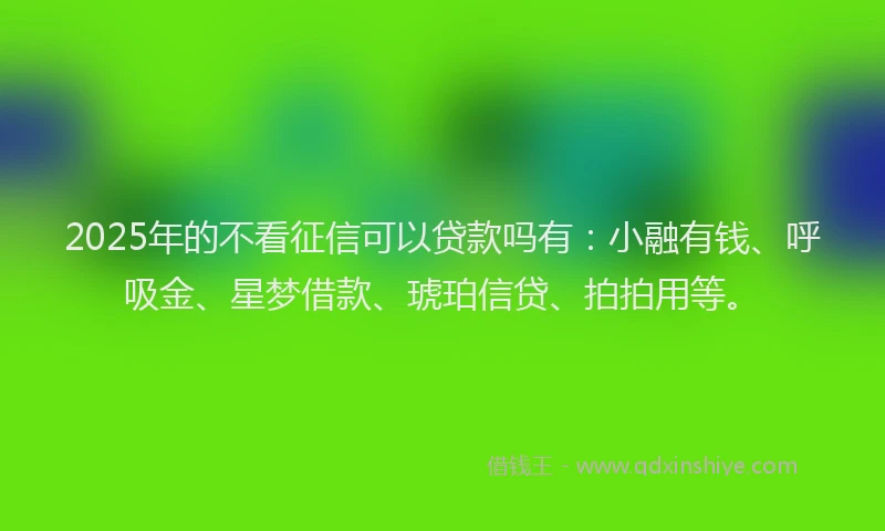 2025年的不看征信可以贷款吗有：小融有钱、呼吸金、星梦借款、琥珀信贷、拍拍用等。