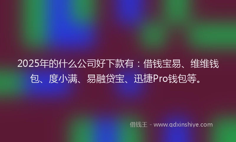 2025年的什么公司好下款有：借钱宝易、维维钱包、度小满、易融贷宝、迅捷Pro钱包等。