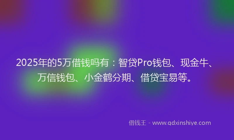 2025年的5万借钱吗有：智贷Pro钱包、现金牛、万信钱包、小金鹤分期、借贷宝易等。