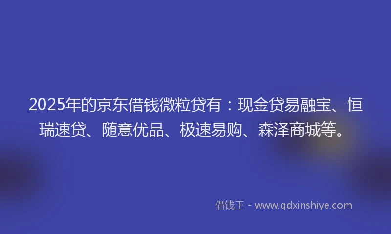 2025年的京东借钱微粒贷有：现金贷易融宝、恒瑞速贷、随意优品、极速易购、森泽商城等。