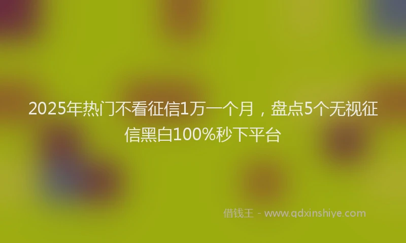 2025年热门不看征信1万一个月，盘点5个无视征信黑白100%秒下平台