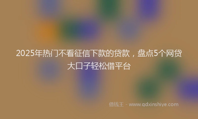 2025年热门不看征信下款的贷款，盘点5个网贷大口子轻松借平台