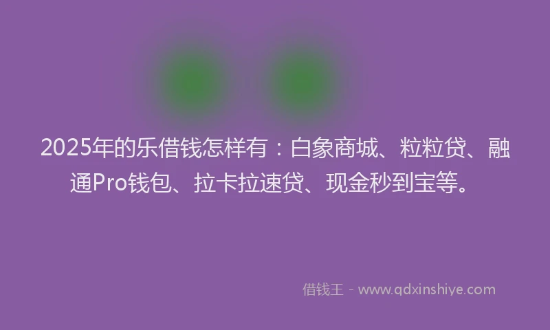 2025年的乐借钱怎样有：白象商城、粒粒贷、融通Pro钱包、拉卡拉速贷、现金秒到宝等。