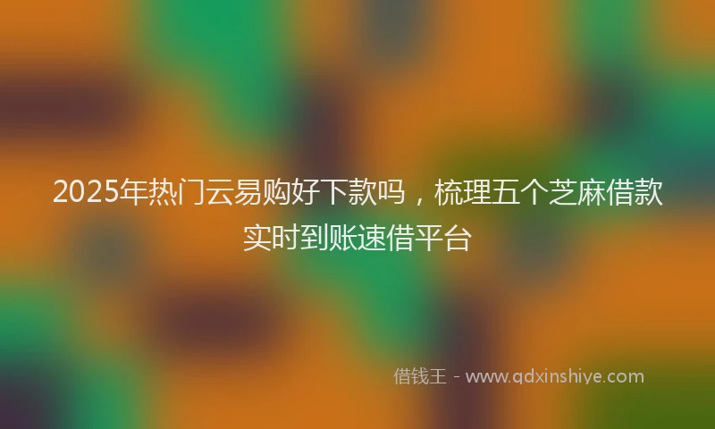 2025年热门云易购好下款吗，梳理五个芝麻借款实时到账速借平台
