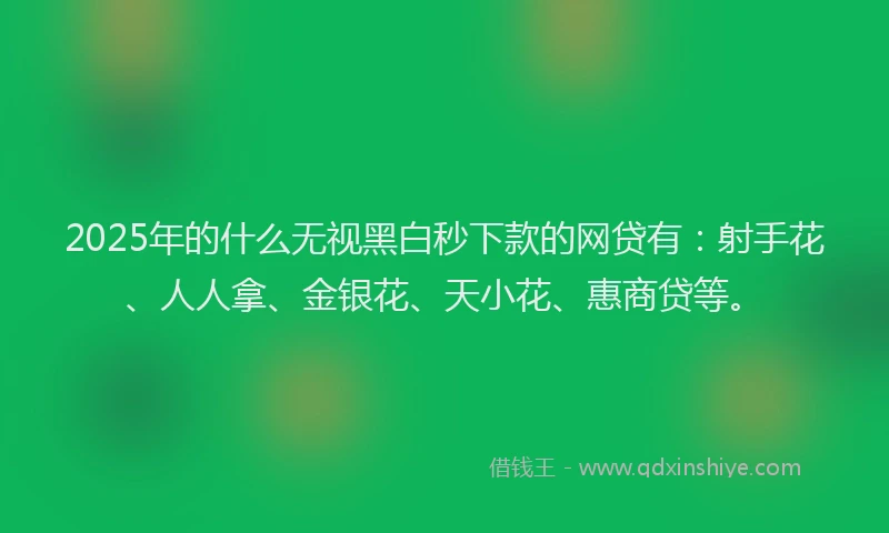 2025年的什么无视黑白秒下款的网贷有：射手花、人人拿、金银花、天小花、惠商贷等。