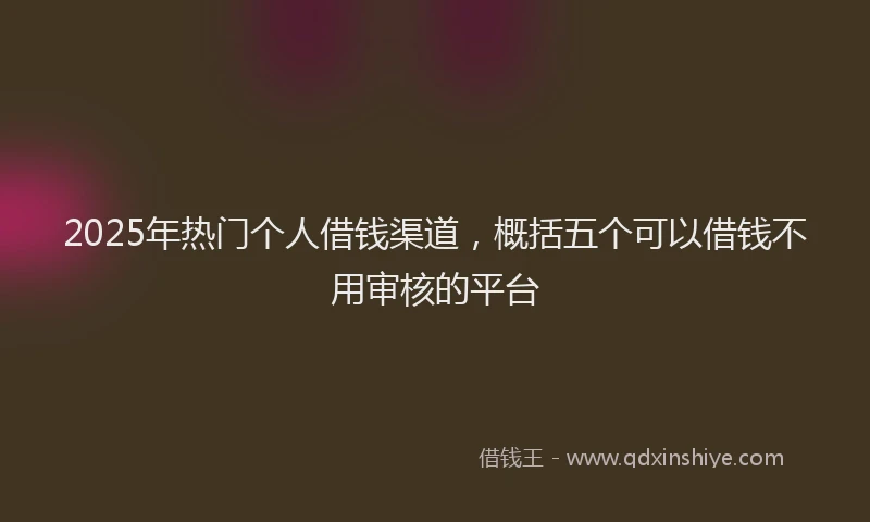 2025年热门个人借钱渠道，概括五个可以借钱不用审核的平台