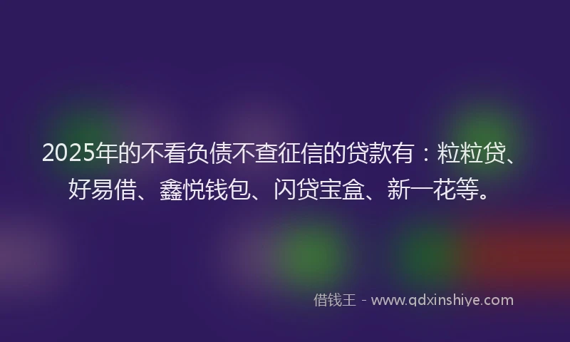 2025年的不看负债不查征信的贷款有：粒粒贷、好易借、鑫悦钱包、闪贷宝盒、新一花等。