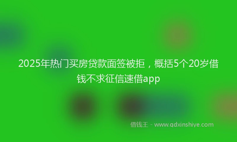 2025年热门买房贷款面签被拒，概括5个20岁借钱不求征信速借app