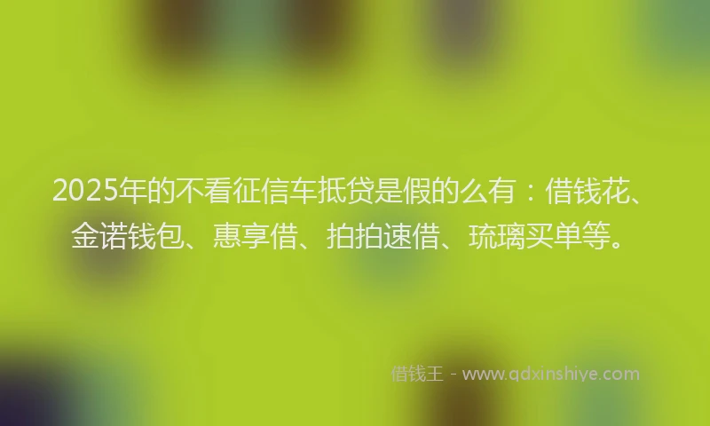 2025年的不看征信车抵贷是假的么有：借钱花、金诺钱包、惠享借、拍拍速借、琉璃买单等。