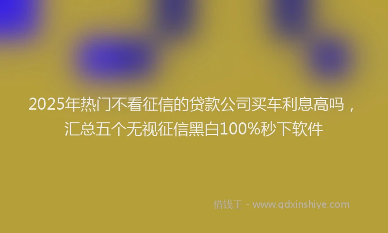 2025年热门不看征信的贷款公司买车利息高吗，汇总五个无视征信黑白100%秒下软件