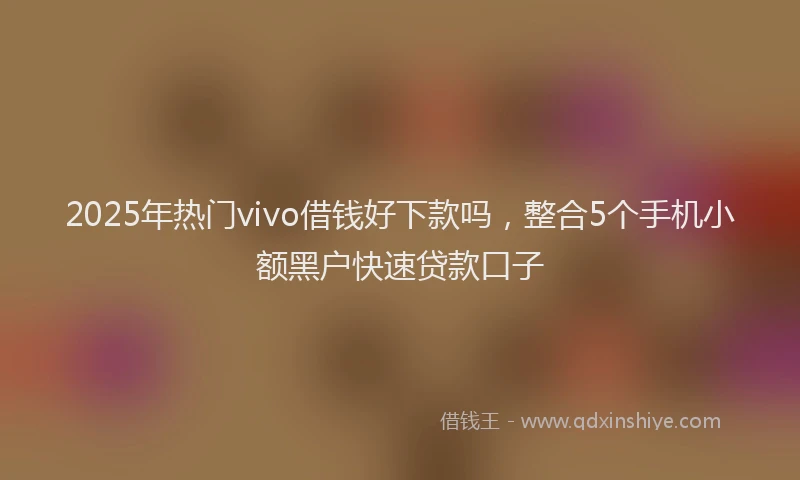 2025年热门vivo借钱好下款吗，整合5个手机小额黑户快速贷款口子