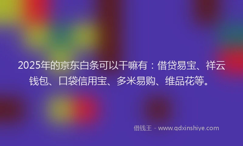 2025年的京东白条可以干嘛有：借贷易宝、祥云钱包、口袋信用宝、多米易购、维品花等。