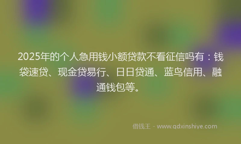 2025年的个人急用钱小额贷款不看征信吗有：钱袋速贷、现金贷易行、日日贷通、蓝鸟信用、融通钱包等。