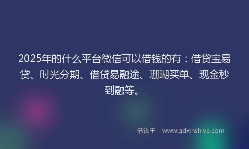 2025年的什么平台微信可以借钱的有：借贷宝易贷、时光分期、借贷易融途、珊瑚买单、现金秒到融等。