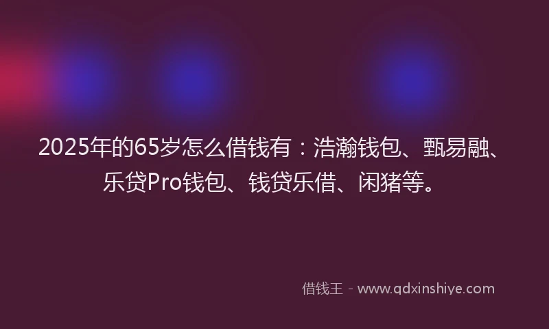 2025年的65岁怎么借钱有：浩瀚钱包、甄易融、乐贷Pro钱包、钱贷乐借、闲猪等。