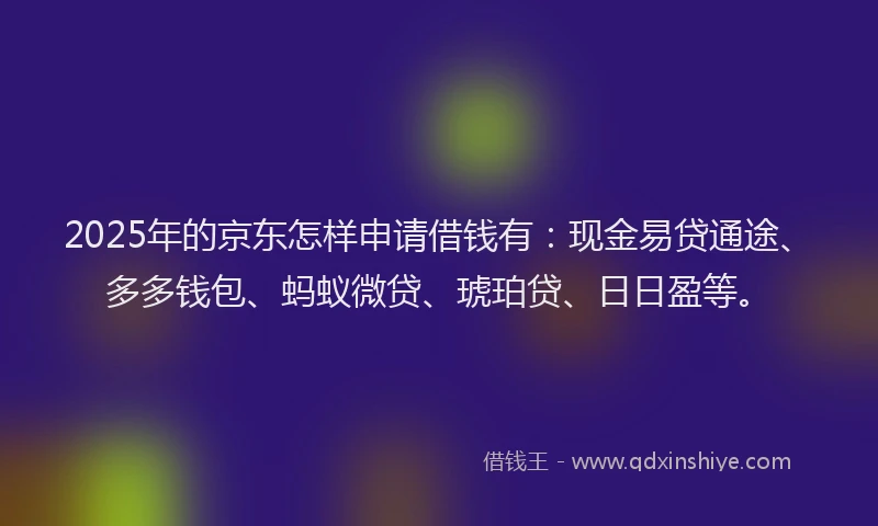 2025年的京东怎样申请借钱有：现金易贷通途、多多钱包、蚂蚁微贷、琥珀贷、日日盈等。