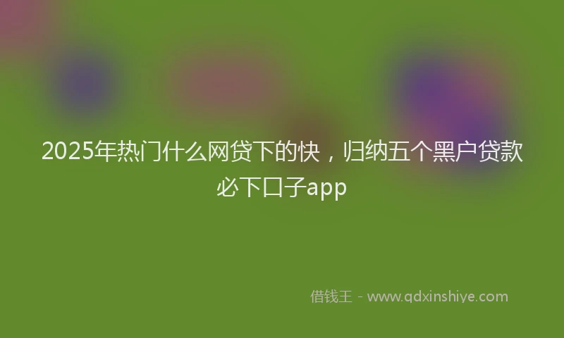2025年热门什么网贷下的快，归纳五个黑户贷款必下口子app