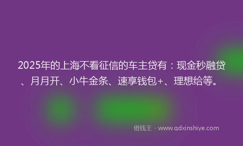 2025年的上海不看征信的车主贷有：现金秒融贷、月月开、小牛金条、速享钱包+、理想给等。