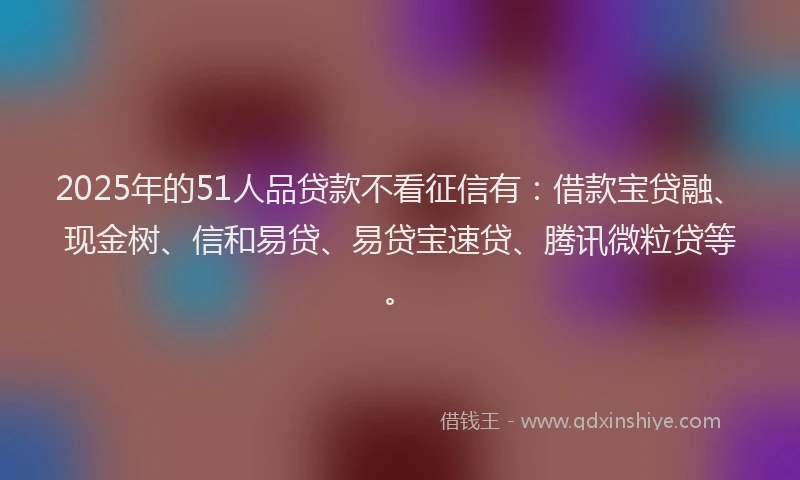 2025年的51人品贷款不看征信有：借款宝贷融、现金树、信和易贷、易贷宝速贷、腾讯微粒贷等。