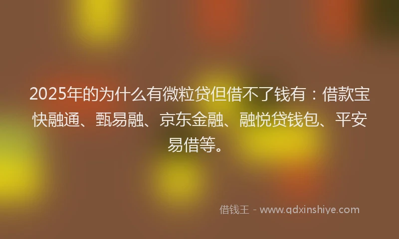 2025年的为什么有微粒贷但借不了钱有：借款宝快融通、甄易融、京东金融、融悦贷钱包、平安易借等。