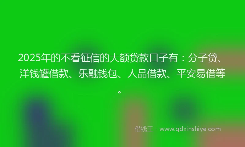 2025年的不看征信的大额贷款口子有：分子贷、洋钱罐借款、乐融钱包、人品借款、平安易借等。