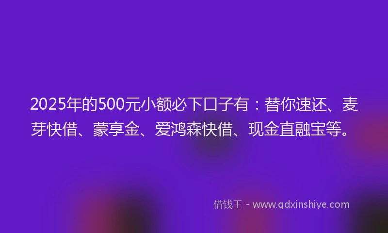 2025年的500元小额必下口子有：替你速还、麦芽快借、蒙享金、爱鸿森快借、现金直融宝等。