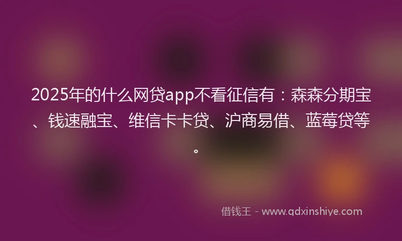 2025年的什么网贷app不看征信有：森森分期宝、钱速融宝、维信卡卡贷、沪商易借、蓝莓贷等。
