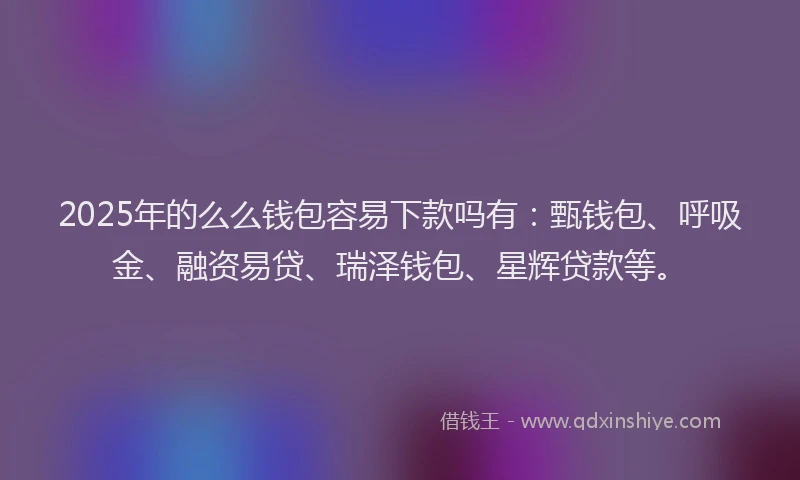 2025年的么么钱包容易下款吗有：甄钱包、呼吸金、融资易贷、瑞泽钱包、星辉贷款等。